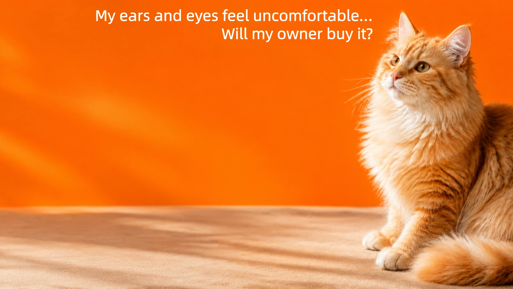 My ears and eyes feel uncomfortable… Will my owner buy it?