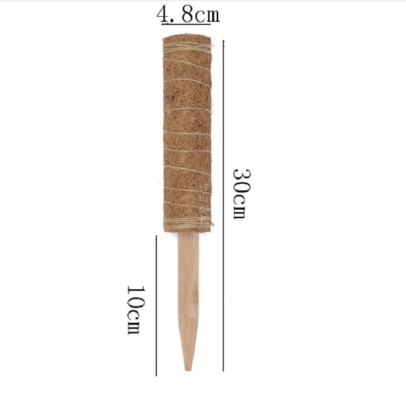 4Pack 12 Inch Moss Pole Coco Coir Poles with 10 Pcs abels and 78 I, 501 Original
4Pack 12 Inch Moss Pole Coco Coir Poles with 10 Pcs abels and 78 I, 501 Original
