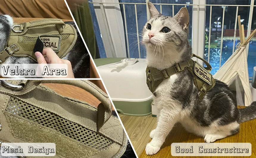 What type of harness is safest for cats?
