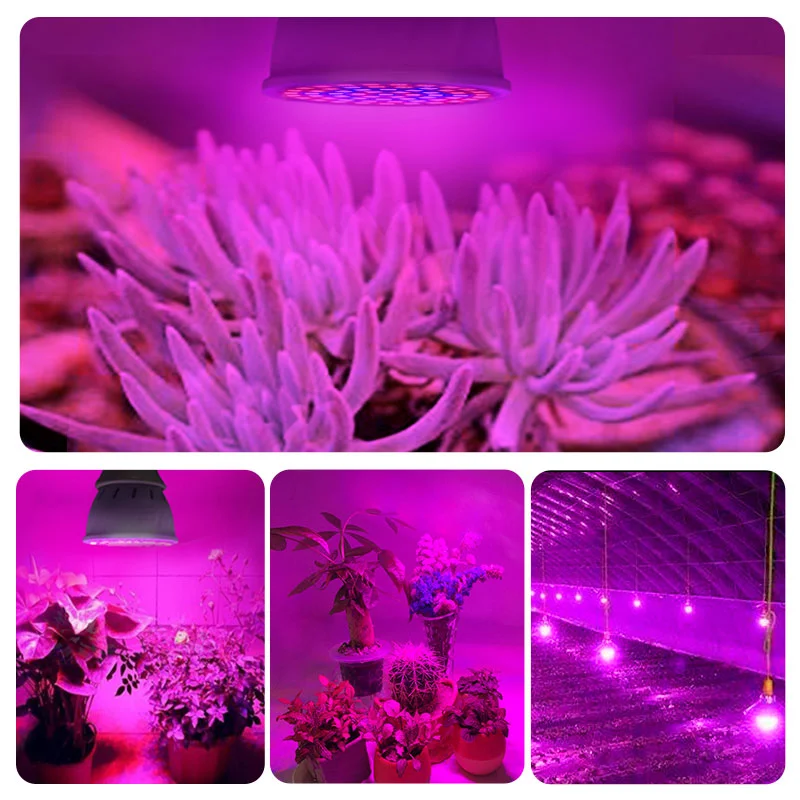 Full Spectrum E27 LED Plant Grow Light Bulb Fitolampy Phyto Lamp For Indoor Garden Plants Flower Hydroponics Grow Tent Box