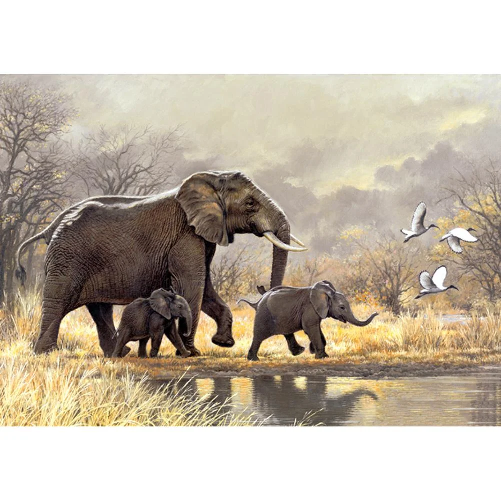 Full Round Diamond Painting - Elephants(30*40cm)