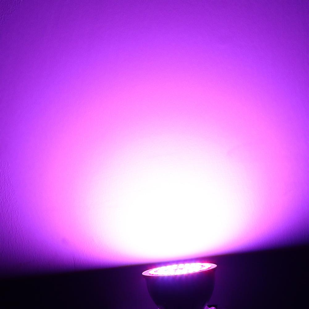 220V E27 2835 SMD Red+Blue LED Grow Light Bulb Indoor Plant Growth Lamp, 32led, 501 Original
220V E27 2835 SMD Red+Blue LED Grow Light Bulb Indoor Plant Growth Lamp, 32led, 501 Original