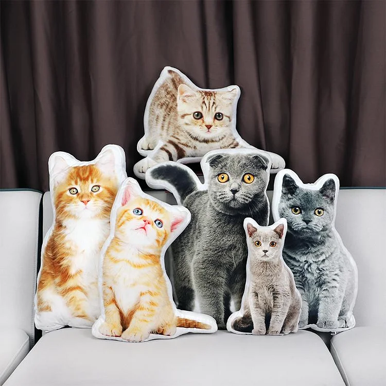 Personalized Cat Photo Pillow 3D Pet Portrait Pillow