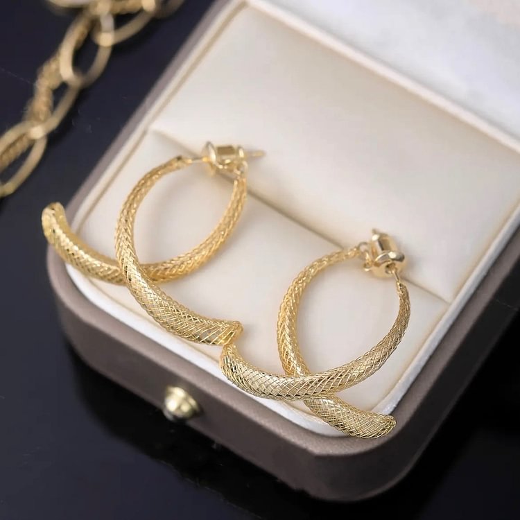 Minimalist Niche Design Earrings