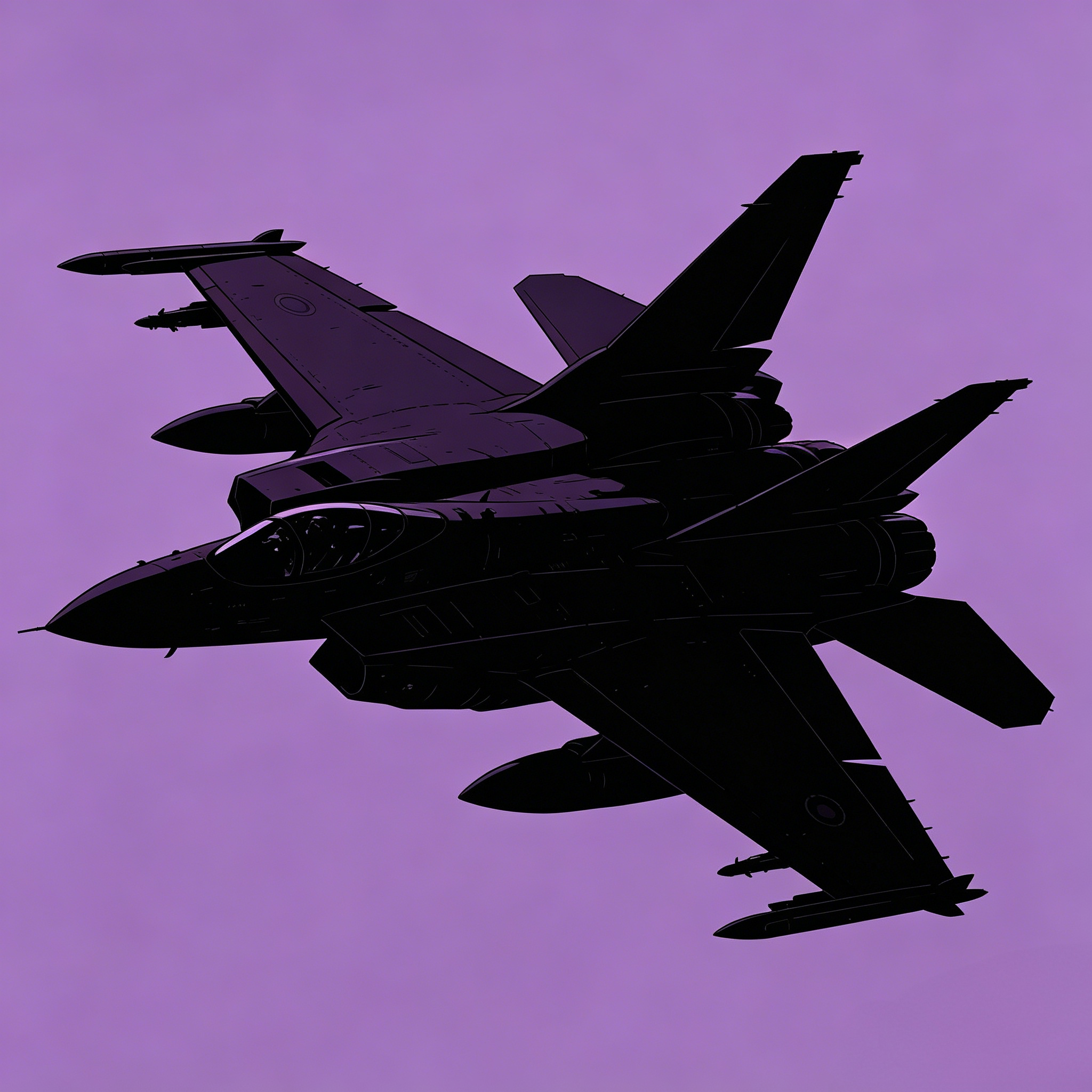 Fighter Aircraft