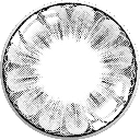 flower language gray