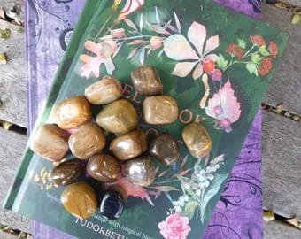 pornhint Pornhint Petrified wood tumbles Natural Large polished petrified wood tumbles