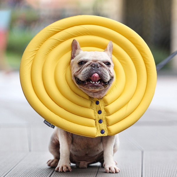 Dog & Cat Elizabethan Surgery Recovery Collar