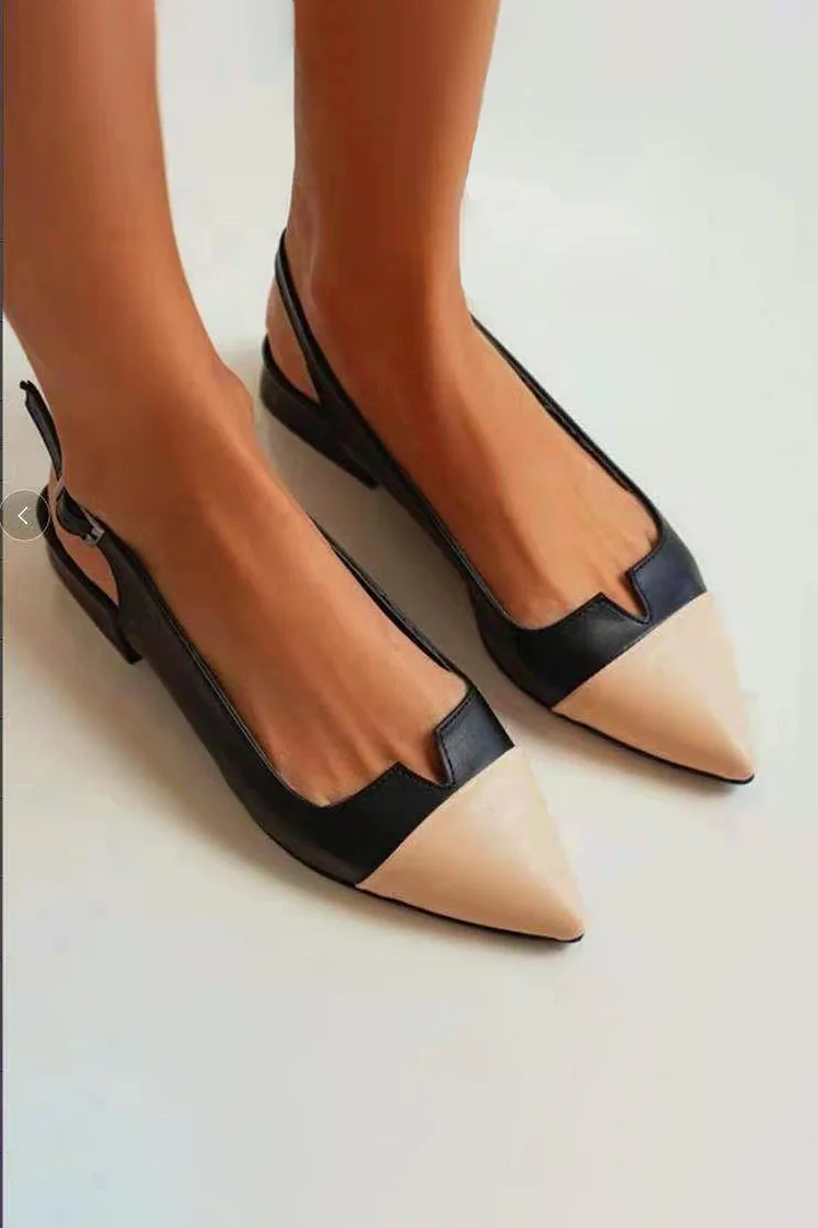 Colorblock V Cut Pointed Toe Slingback Strap Buckle Flats