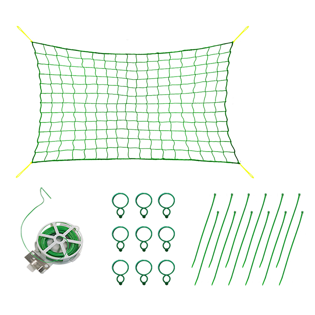 Garden Loofah Vine Plant Climbing Net Cucumber Grape Tomato Grow Holder Set, 501 Original
Garden Loofah Vine Plant Climbing Net Cucumber Grape Tomato Grow Holder Set, 501 Original