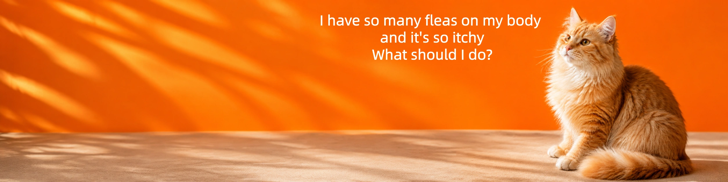 I have so many fleas on my body and it's so itchy What should I do?