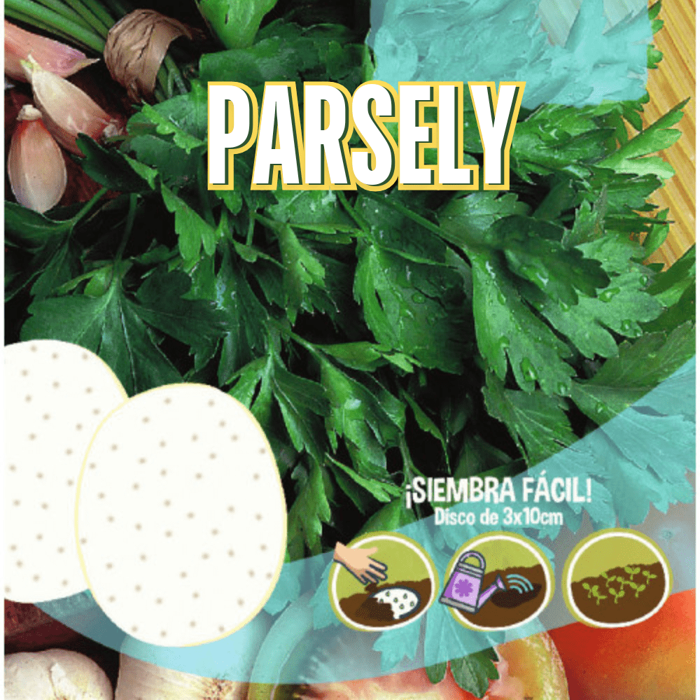Parsley Seeds Disc – Easy Grow Round Disc for Pots