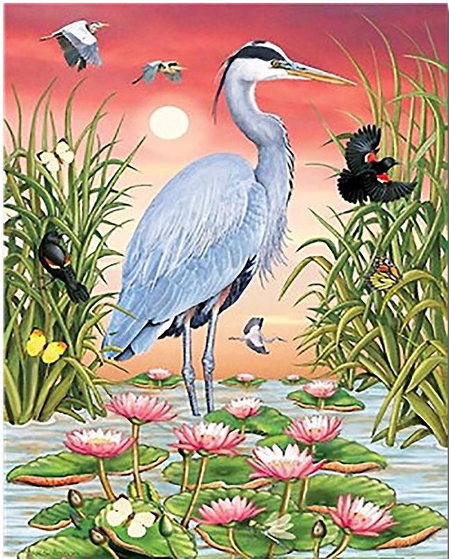 Grey Herons Birds – Paint By Numbers - 40*50CM, 501 Original
Grey Herons Birds – Paint By Numbers - 40*50CM, 501 Original