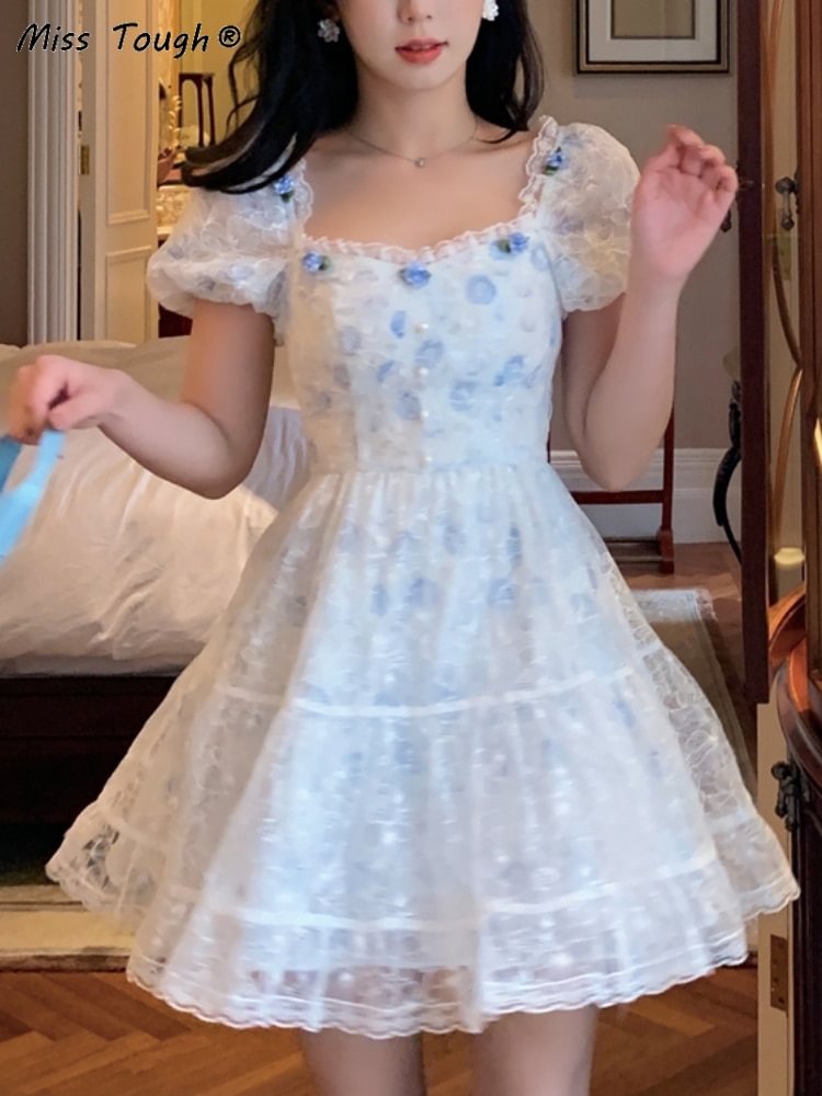 Floral Fairy Lace Vintage Elegant Sweet Dress PE019