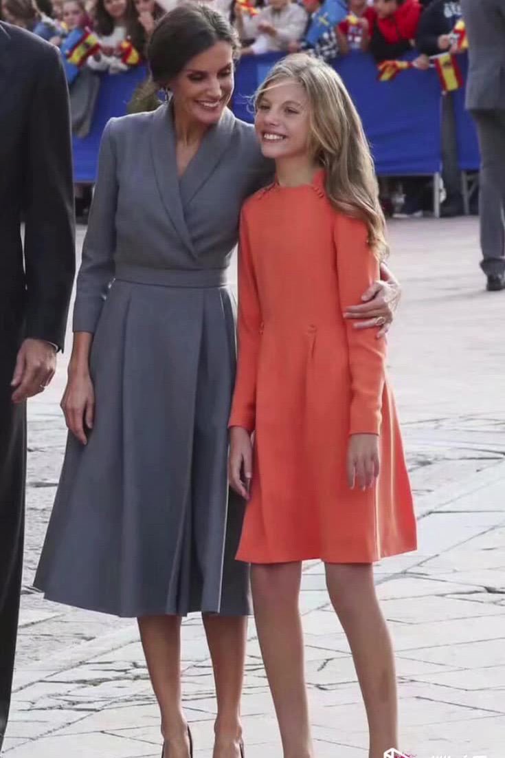 Queen Letizia Elegant Grey Dress - Life is Beautiful for You - SheChoic