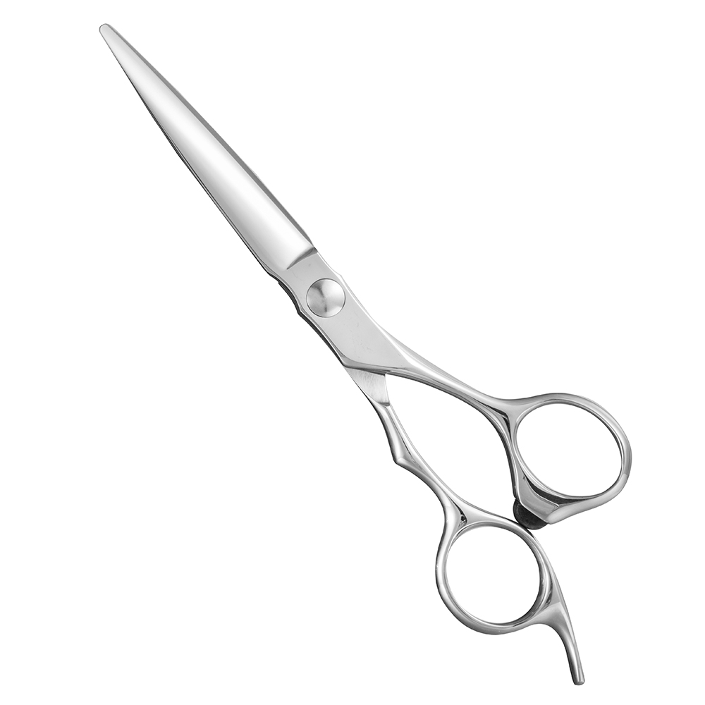 AOLANDUO Hair Cutting Scissor (6 Inch)-EXTREMELY SHARP