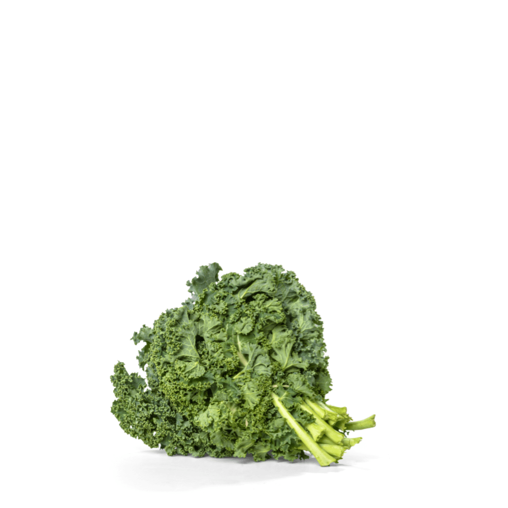 Organic Curly Kale Seeds – Superfood Greens
