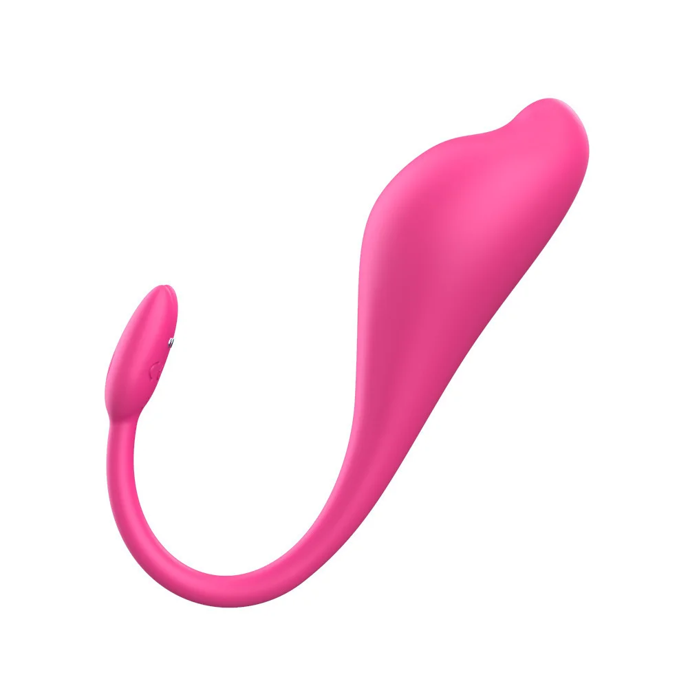 Remote Control Dolphin Wearable Panty Vibrator - Rose Toy