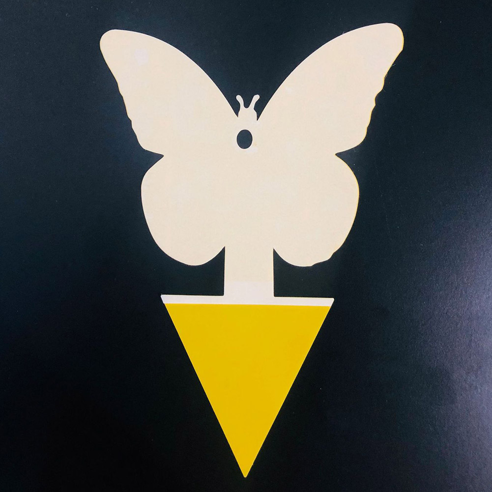 10pcs Butterfly-shaped Flies Traps Bugs Sticky Board Insects Pest Control, 501 Original
10pcs Butterfly-shaped Flies Traps Bugs Sticky Board Insects Pest Control, 501 Original