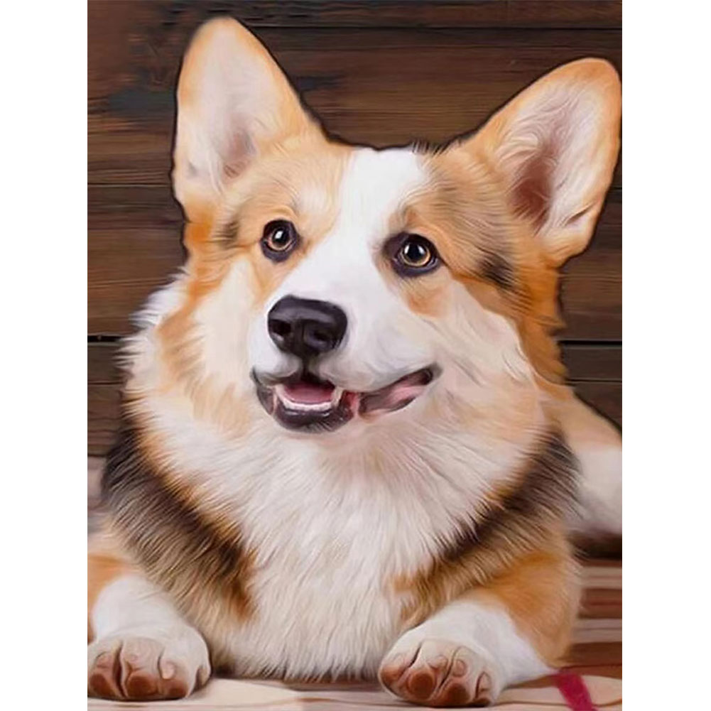 (Multi-Size) Corgi - Round/Square Drill Diamond Painting - 30*40CM, Square diamond 30*40cm, 501 Original
(Multi-Size) Corgi - Round/Square Drill Diamond Painting - 30*40CM, Square diamond 30*40cm, 501 Original