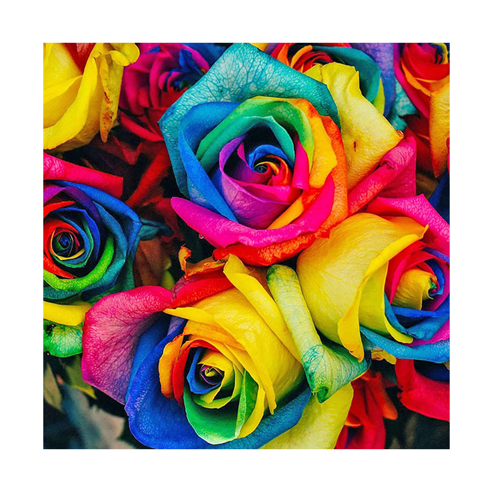 Rainbow Flower - Round Drill Diamond Painting - 30*30CM, Round diamond 30*30cm, 501 Original
Rainbow Flower - Round Drill Diamond Painting - 30*30CM, Round diamond 30*30cm, 501 Original