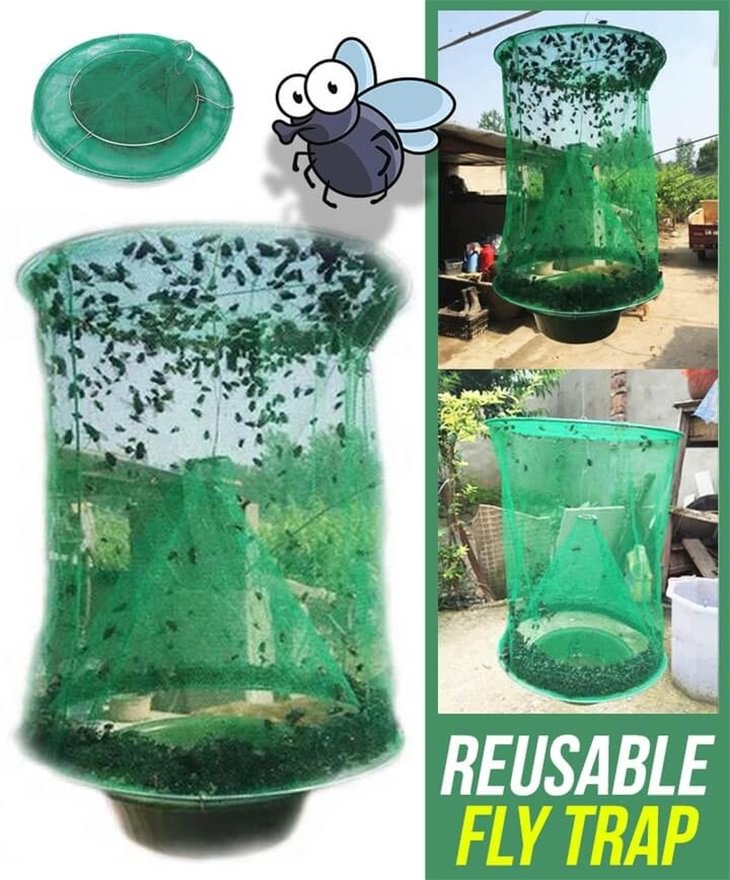 Reusable Fly Trap - Save 50% Off