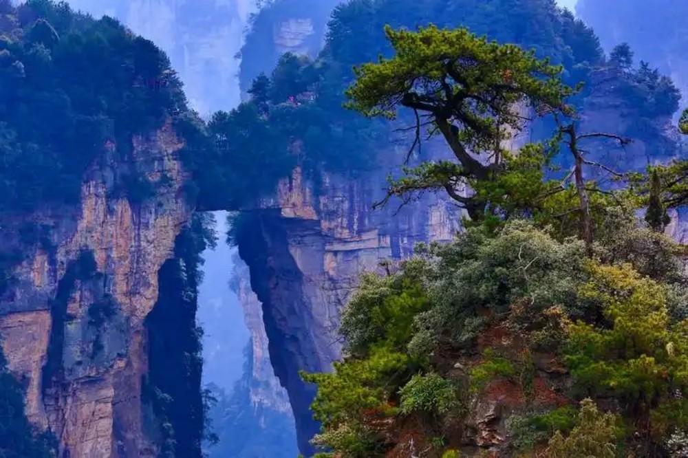 Yuanjiajie Scenic Area