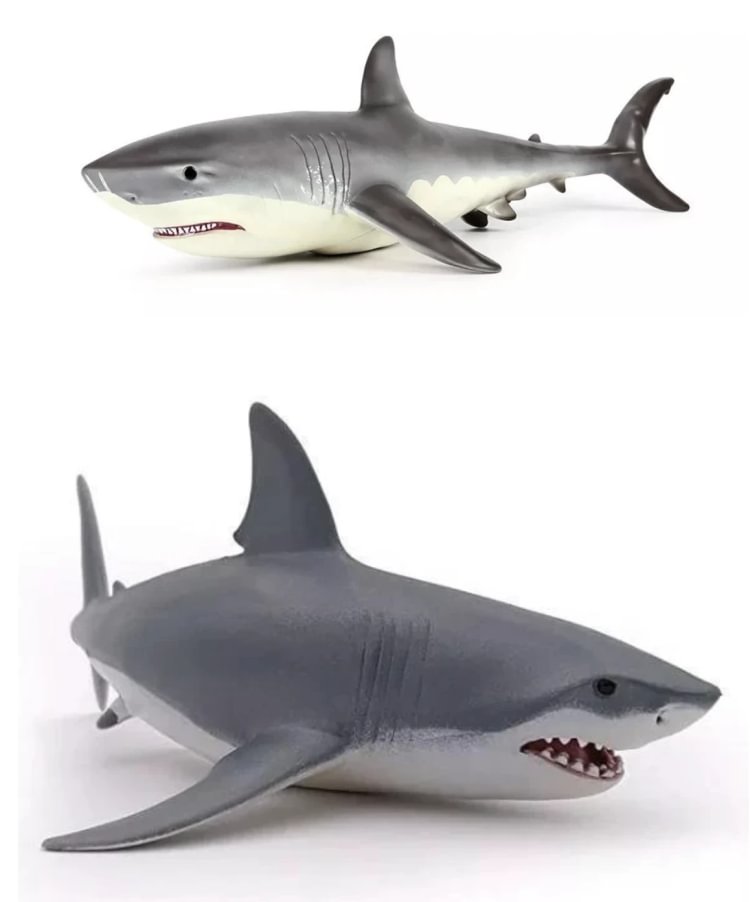lifelike baby shark