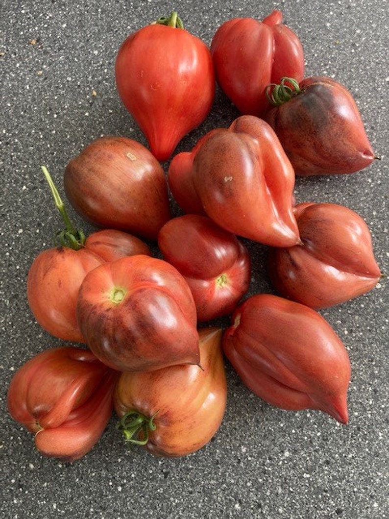 Crushed Heart Tomato Seeds Organic Heirloom Tomatoes