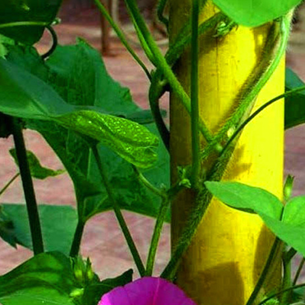 Garden Plants Climbing Net Cucumber Vine Grow Holder Flower Vine Netting, 501 Original
Garden Plants Climbing Net Cucumber Vine Grow Holder Flower Vine Netting, 501 Original