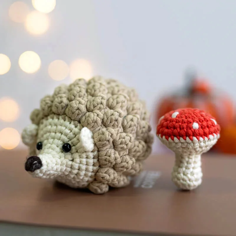 MeWaii® Crochet Hedgehog Crochet Kit for Beginners with Easy Peasy Yarn