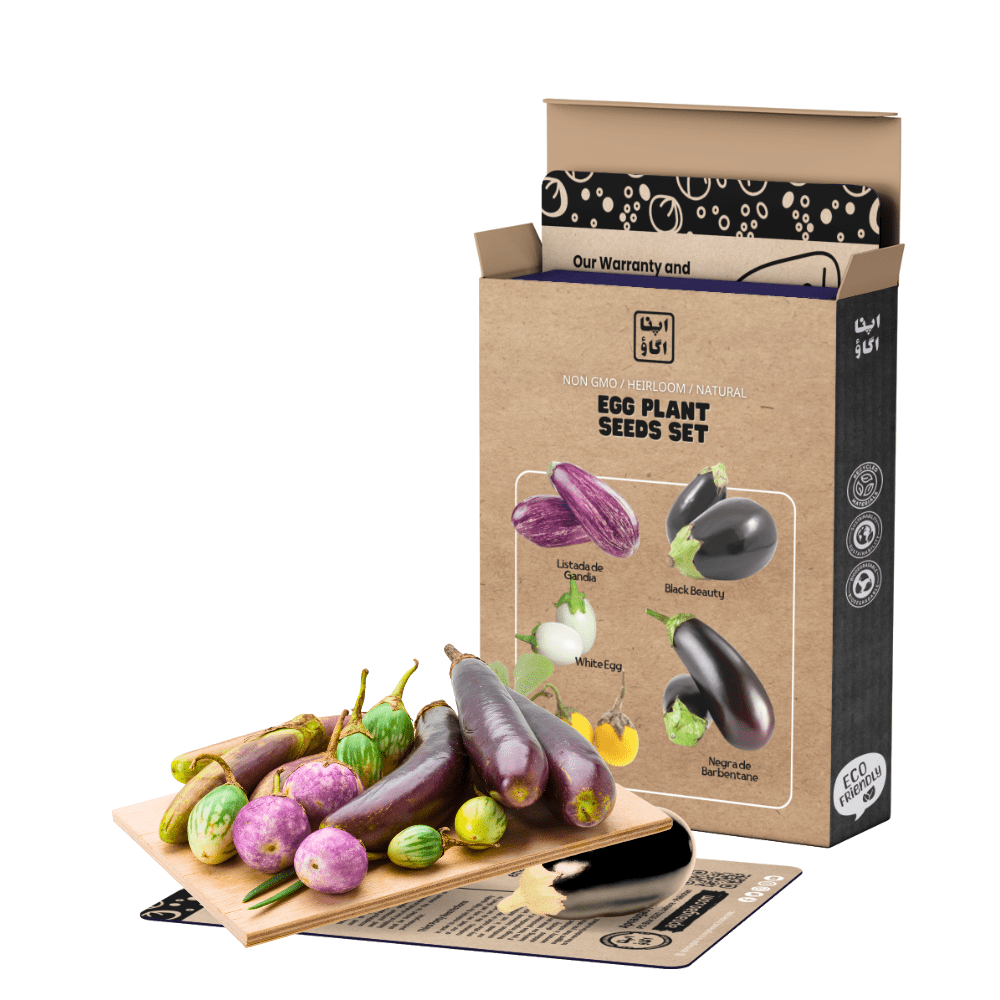 Heirloom Eggplant Seeds Set – 5 Varieties