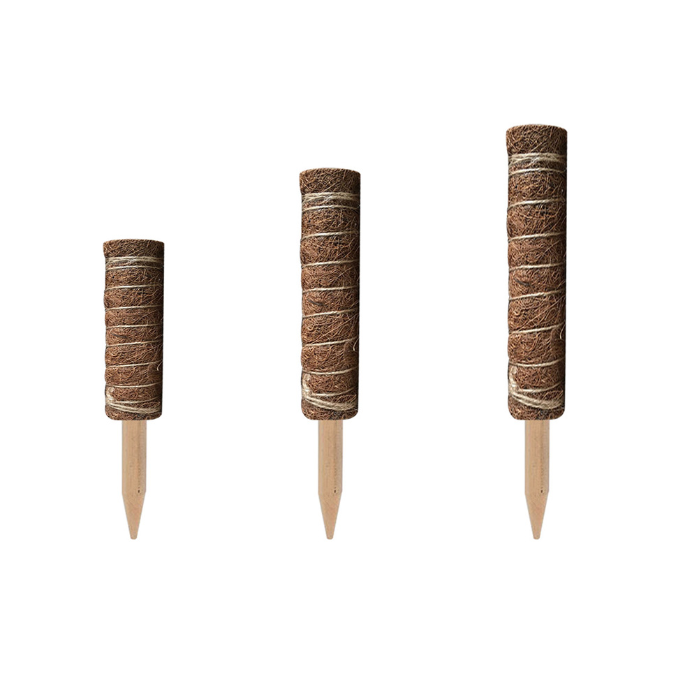 30/40/50cm Garden Plant Climbing Pole Coir Moss Stick Coconut Palm Sticks, 501 Original
30/40/50cm Garden Plant Climbing Pole Coir Moss Stick Coconut Palm Sticks, 501 Original