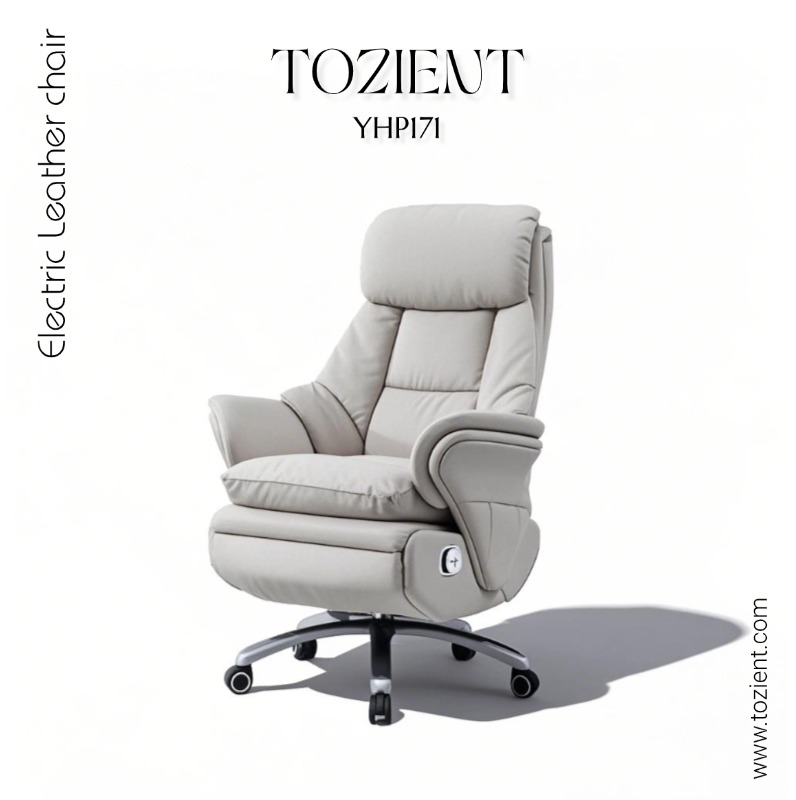 TOZIENT YHP171 /Newton/ Recline Chair, Cowhide, Zero Gravity Recline