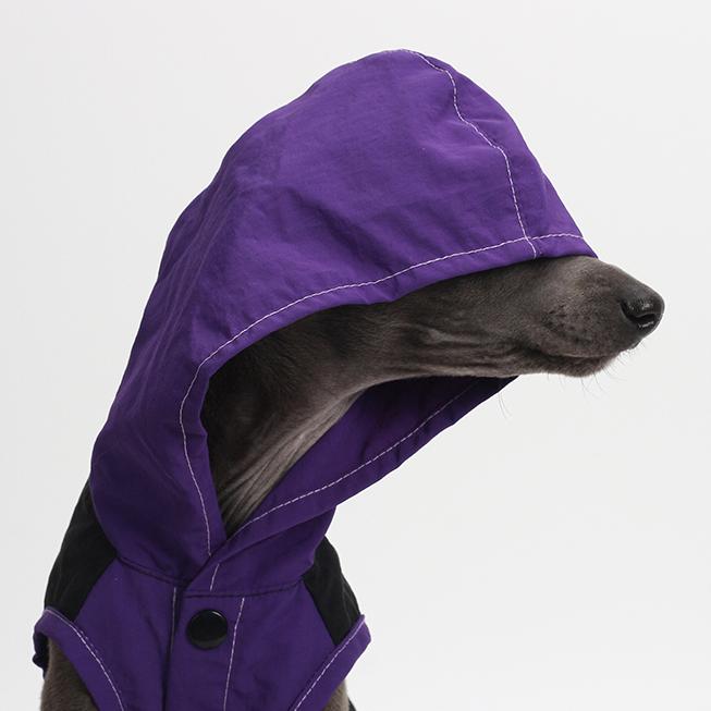 BZPET dog clothes