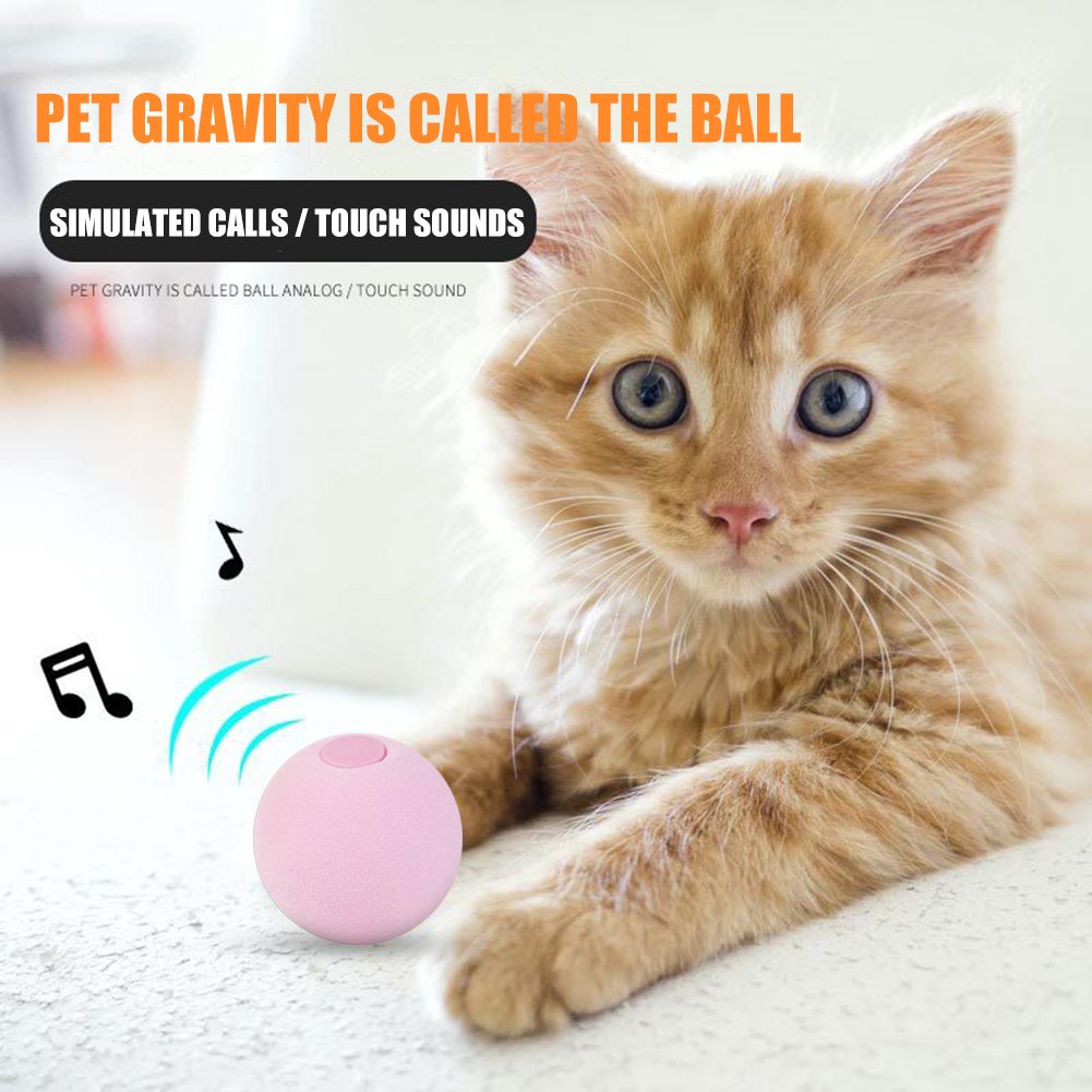 Smart Cat Toys Interactive Ball Catnip Training Toy Pet Kitty Playing Ball, Pink, 501 Original
Smart Cat Toys Interactive Ball Catnip Training Toy Pet Kitty Playing Ball, Pink, 501 Original
