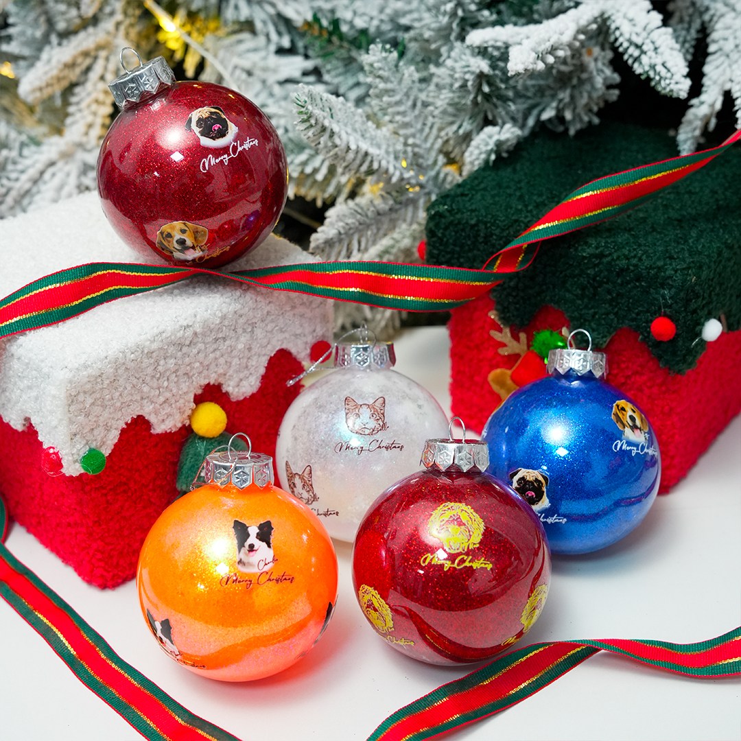 Ornament Frames Photo Ornaments Walmart Canada Printable Christmas