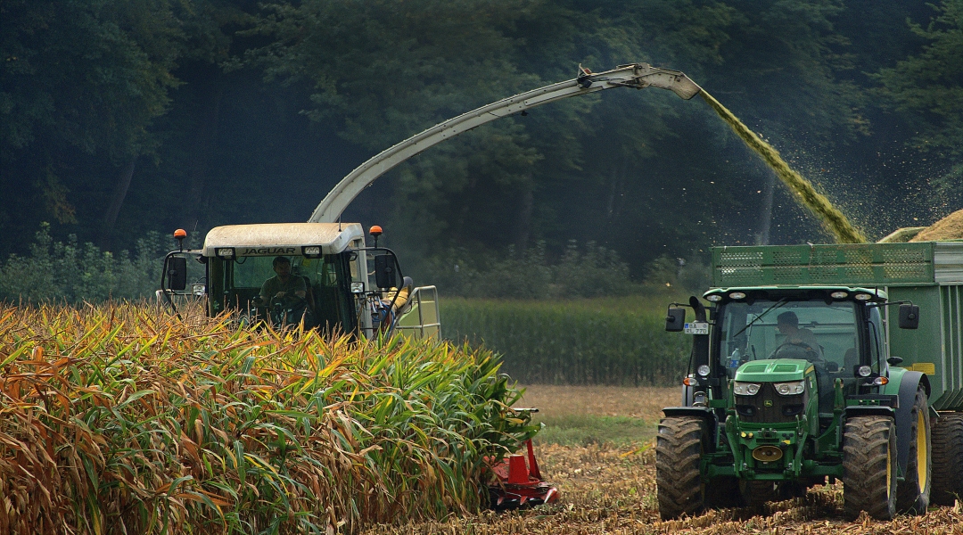 Electric Feed Spreader