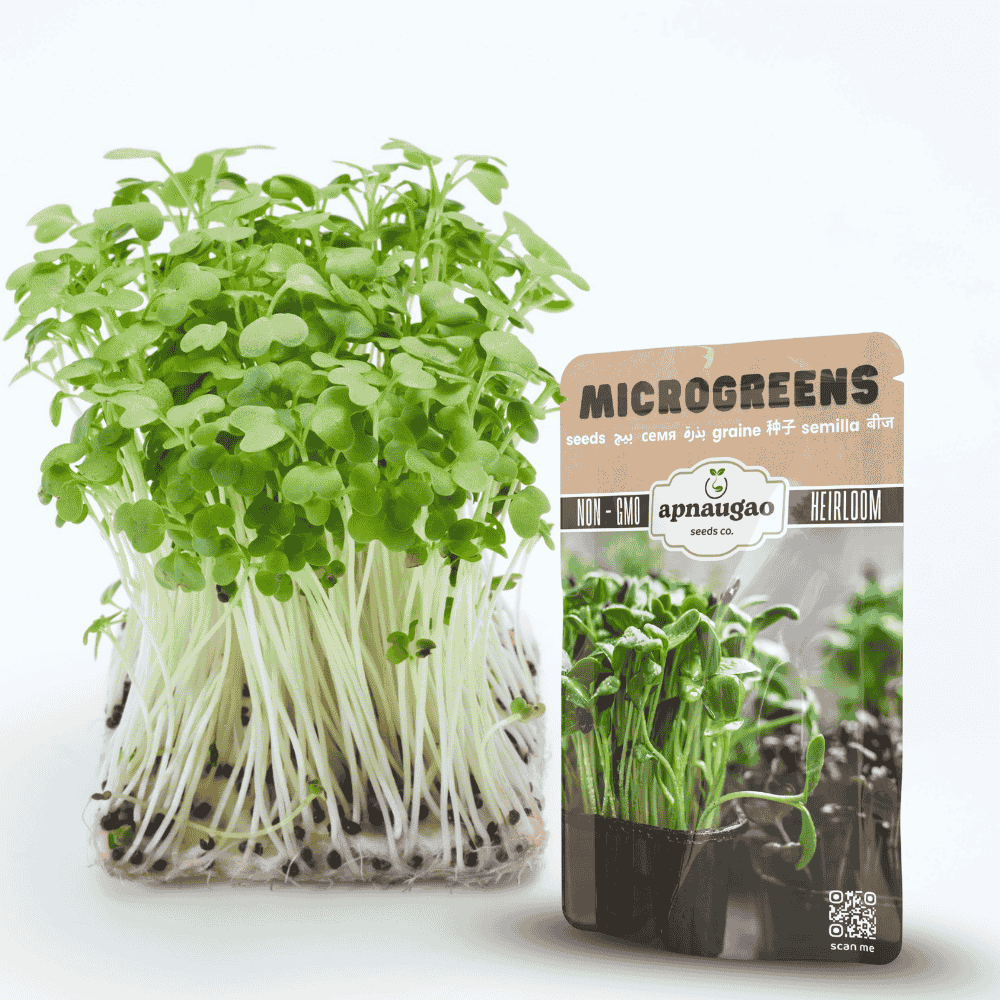 Salad Leaves with Swiss Chard Mix, Five varieties