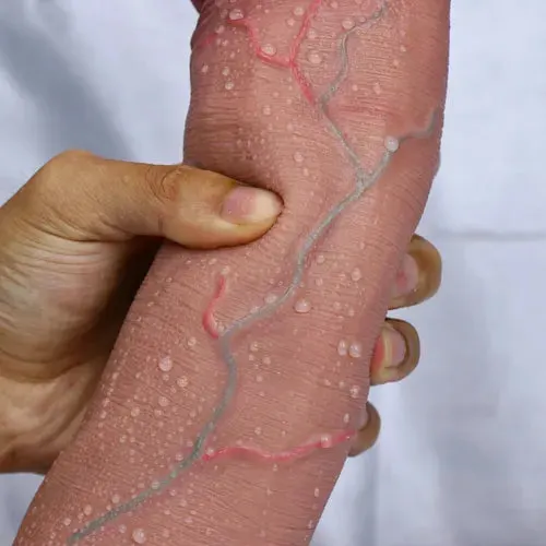 pornhint Pornhint Big Glans Thick Dildo Soft Small Masturbator Double Layer Penis Anal Suction Cup