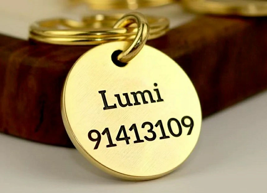 Best Custom Dog ID Tags for Active Dogs: Durable & Waterproof Options