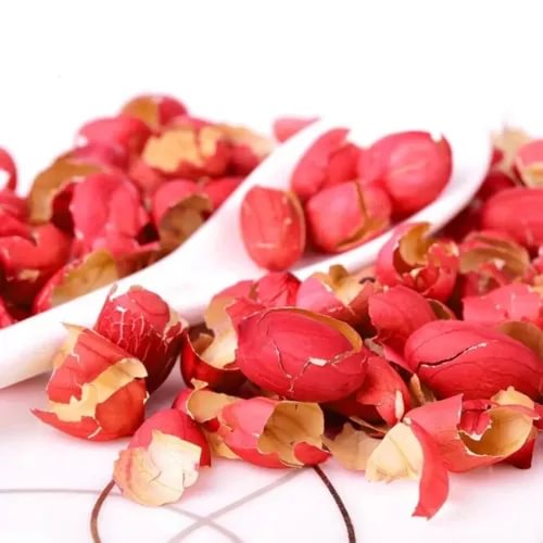 pornhint Pornhint With peanuts red peanut skin long fruit coat peanut skin peanut jacket 17.6oz New
