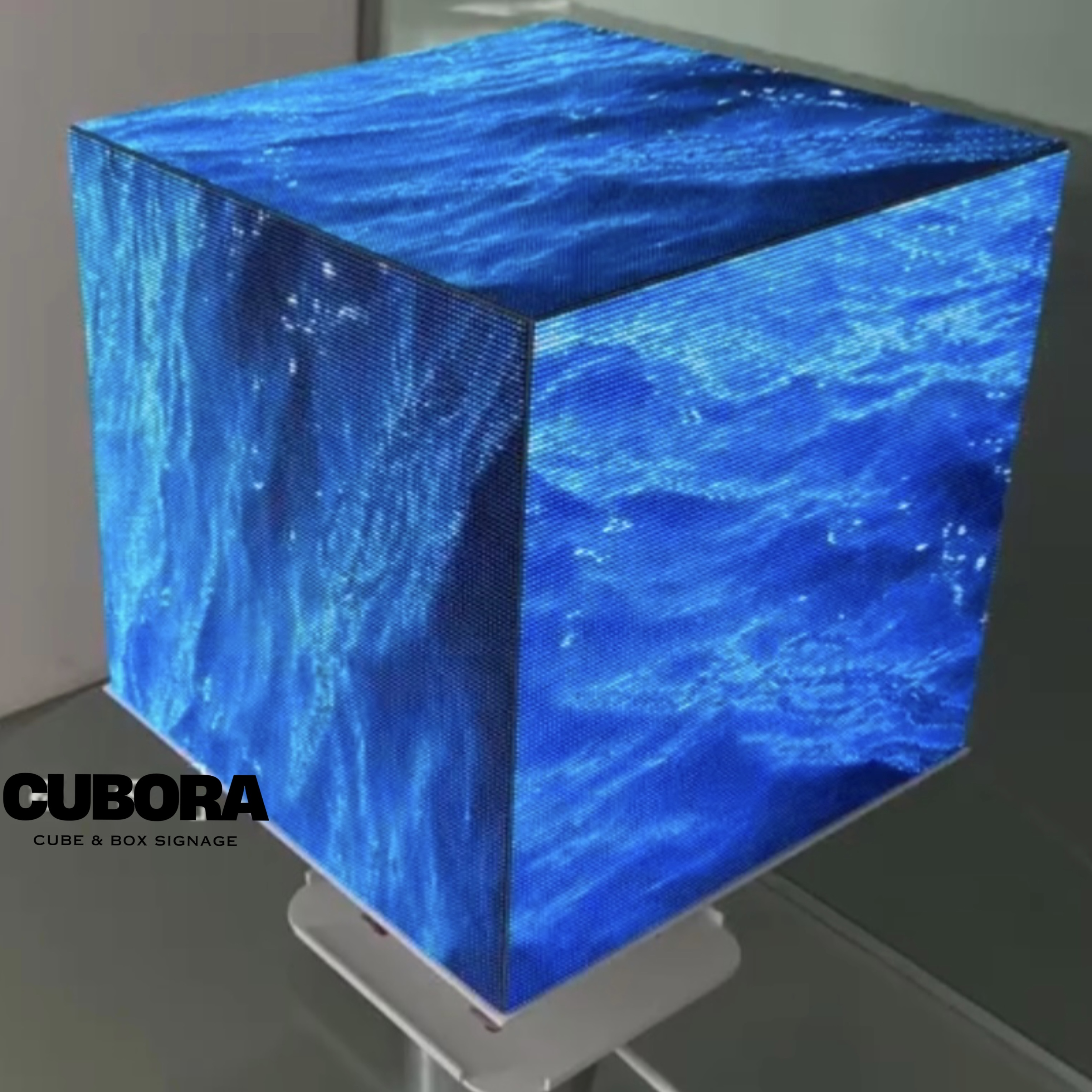 Cubora 006