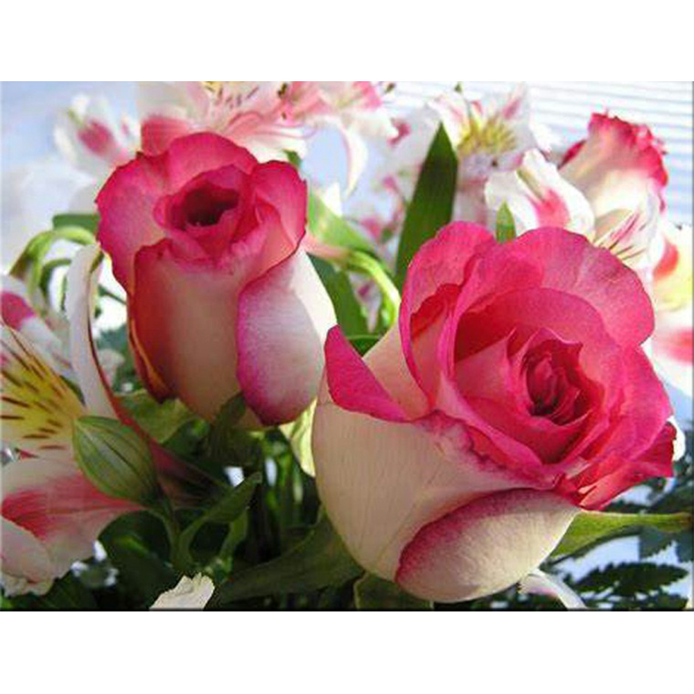 (Multi-Size) Pink Rose - Round/Square Drill Diamond Painting - 40*30CM, Square diamond 30*40cm, 501 Original
(Multi-Size) Pink Rose - Round/Square Drill Diamond Painting - 40*30CM, Square diamond 30*40cm, 501 Original