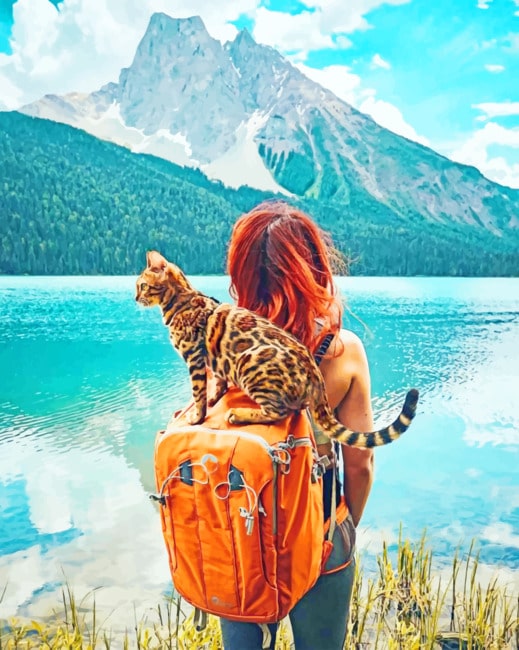 Lady And Cat In Yoho National Park Of Canada – Paint By Numbers - 40*50CM, 501 Original
Lady And Cat In Yoho National Park Of Canada – Paint By Numbers - 40*50CM, 501 Original