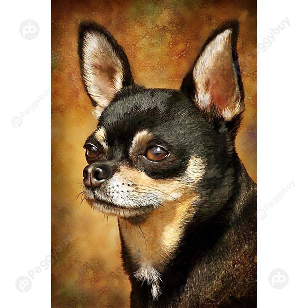 (Multi-Size) Two Dogs - Round/Square Drill Diamond Painting - 30*40CM, Square diamond, 501 Original
(Multi-Size) Two Dogs - Round/Square Drill Diamond Painting - 30*40CM, Square diamond, 501 Original