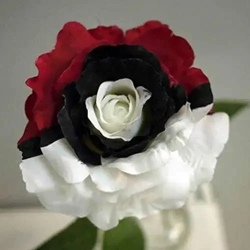 Pokémon rose - Rare red white black rose