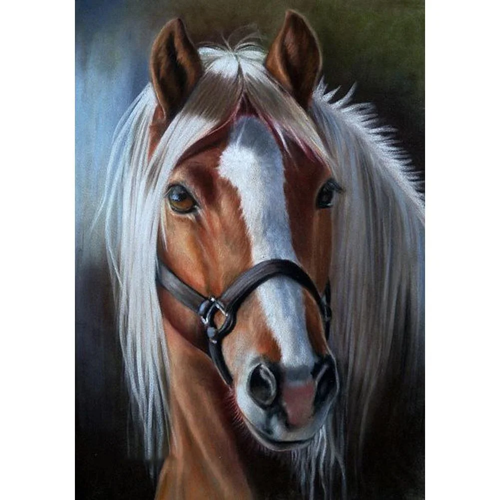 Full Round Diamond Painting - Horse(30*40cm)
