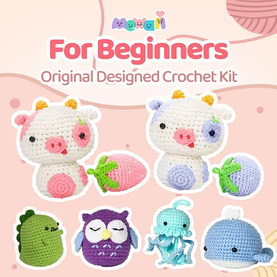 Mewaii Crochet Kit for Beginners with Tape Yarn, Complete DIY