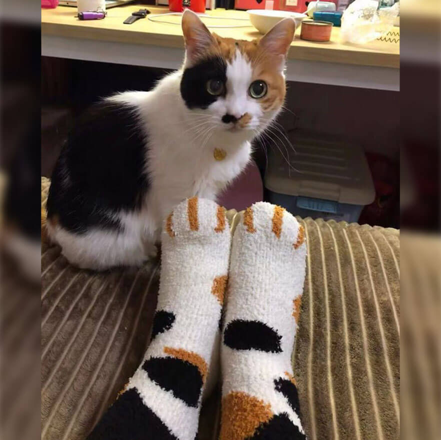 Cat Socks Fuzzy, Fuzzy Paw Socks, Socks Cat Paws
